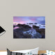 Seal Rock Colors Wall Decal
