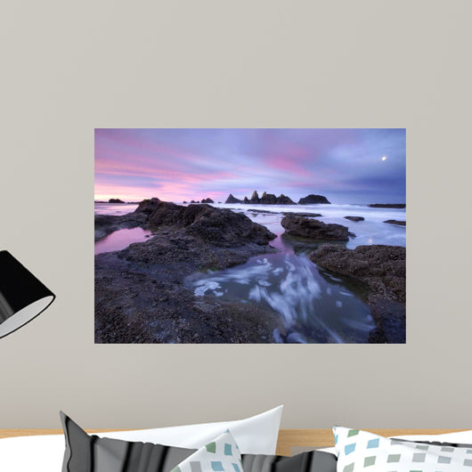 Seal Rock Colors Wall Decal
