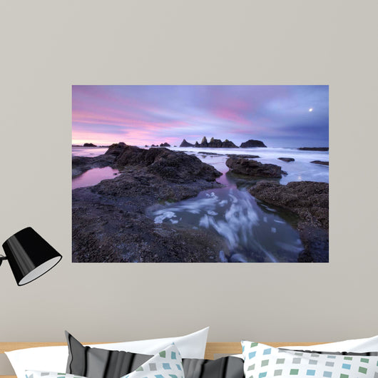 Seal Rock Colors Wall Decal