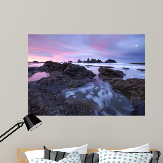 Seal Rock Colors Wall Decal