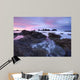 Seal Rock Colors Wall Decal