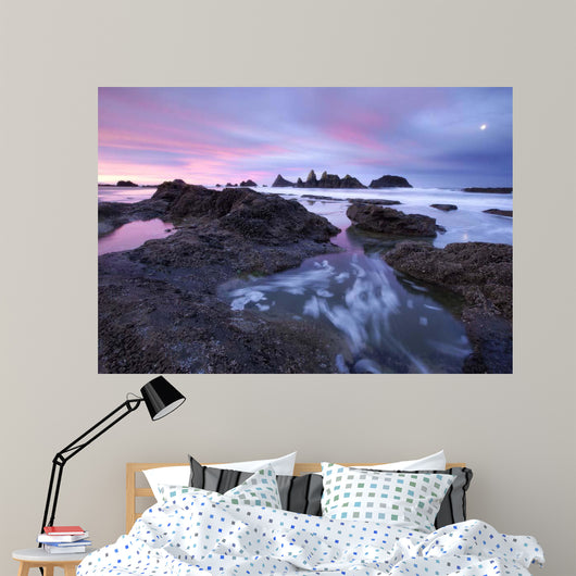 Seal Rock Colors Wall Decal