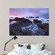 Seal Rock Colors Wall Decal