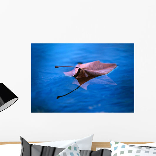 Sycamore Reflection Wall Decal