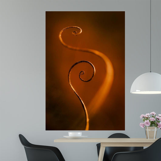 Tendrils Red Wall Decal