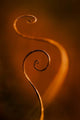 Tendrils Red Wall Decal