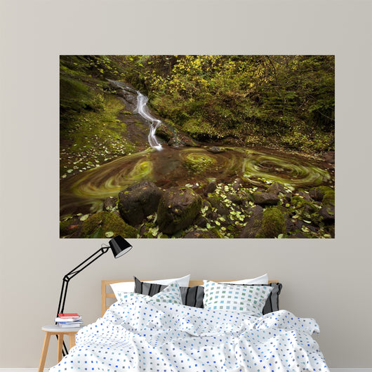 Three Blurs Wall Decal