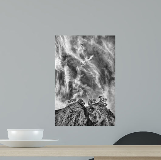 Tree Island Clouds B Wall Decal