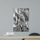 Tree Island Clouds B Wall Decal