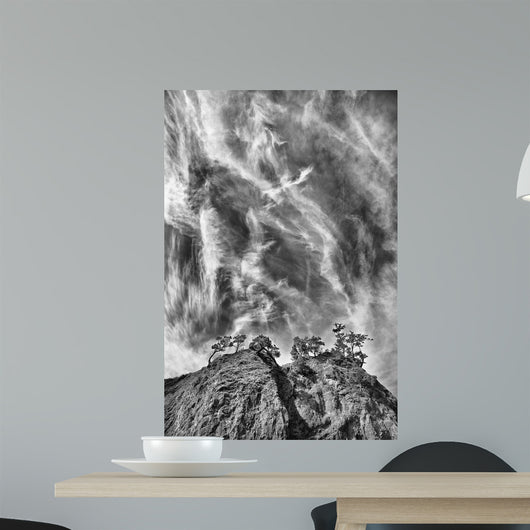 Tree Island Clouds B Wall Decal