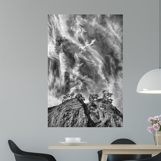 Tree Island Clouds B Wall Decal