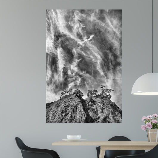 Tree Island Clouds B Wall Decal