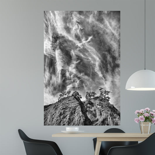 Tree Island Clouds B Wall Decal