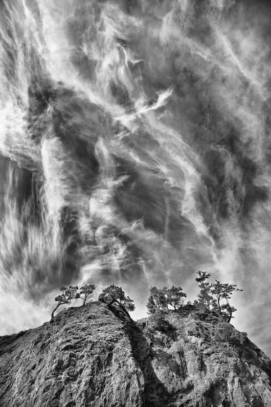 Tree Island Clouds B Wall Decal