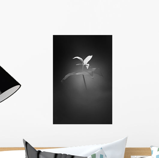 Trillium Pastel 1 B Wall Decal