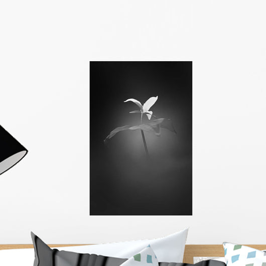 Trillium Pastel 1 B Wall Decal