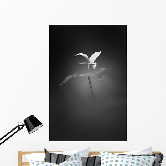 Trillium Pastel 1 B Wall Decal