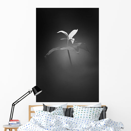 Trillium Pastel 1 B Wall Decal