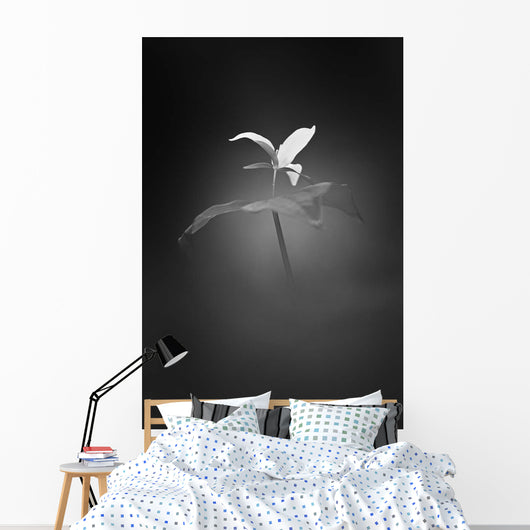 Trillium Pastel 1 B Wall Decal