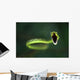 Vine Snake Wall Decal