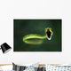 Vine Snake Wall Decal