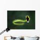 Vine Snake Wall Decal