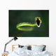 Vine Snake Wall Decal