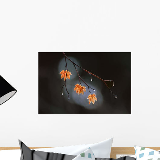 Wet Fall Wall Decal