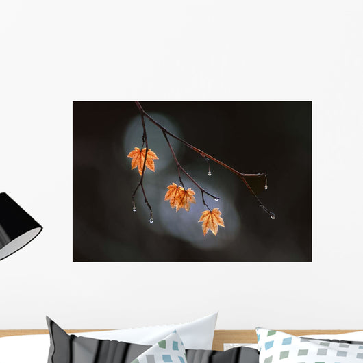 Wet Fall Wall Decal