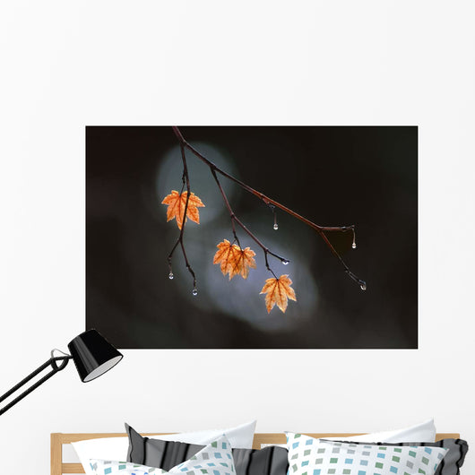 Wet Fall Wall Decal