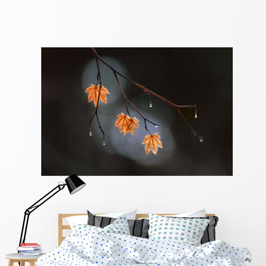 Wet Fall Wall Decal