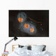Wet Fall Wall Decal