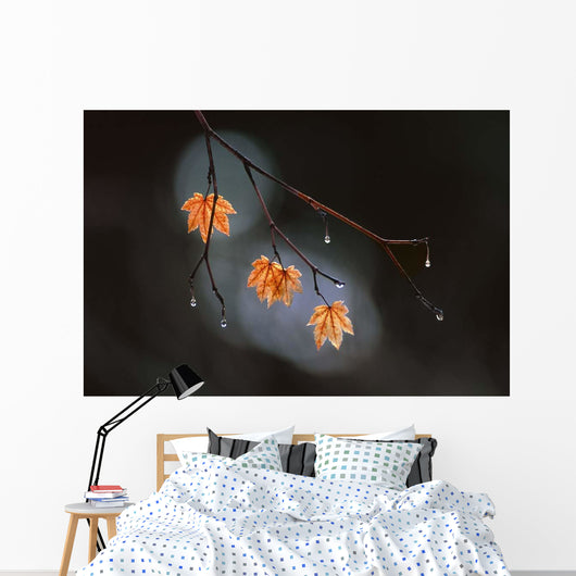 Wet Fall Wall Decal
