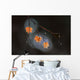 Wet Fall Wall Decal