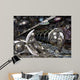 Birth Beauty Wall Decal