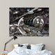 Birth Beauty Wall Decal