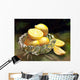 Lemon Glass Wall Decal
