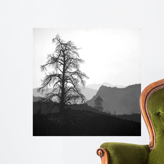 Mono Wall Decal