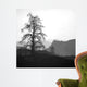 Mono Wall Decal