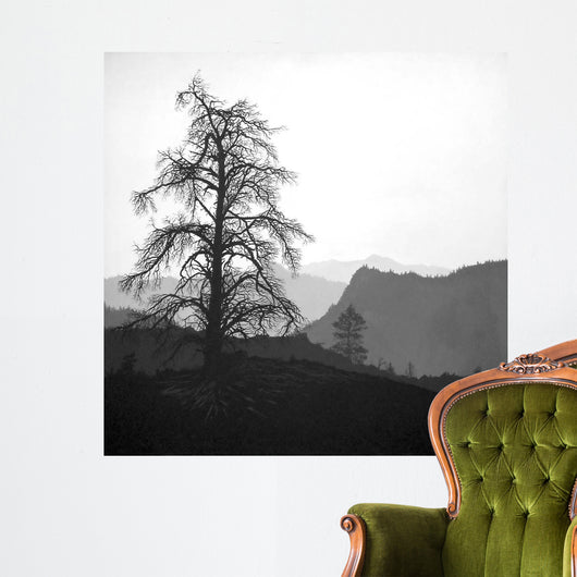 Mono Wall Decal