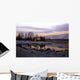 14 Wall Decal