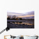 14 Wall Decal