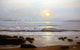 40 Wall Decal