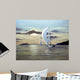 41 Wall Decal