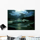 51 Wall Decal