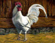 Bantam Rooster Wall Decal