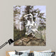 Indian Rock Wall Decal