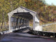 Knox Bridge Valley Forge Wall Decal