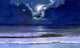 Moonscape Wall Decal