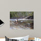 Wading Wall Decal